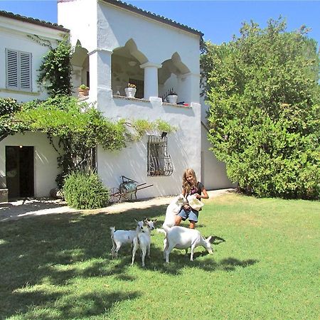 Agriturismo "Borgo Madonna Degli Angeli" - Charming Cottages In The Gardens ! Tocco da Casauria Εξωτερικό φωτογραφία