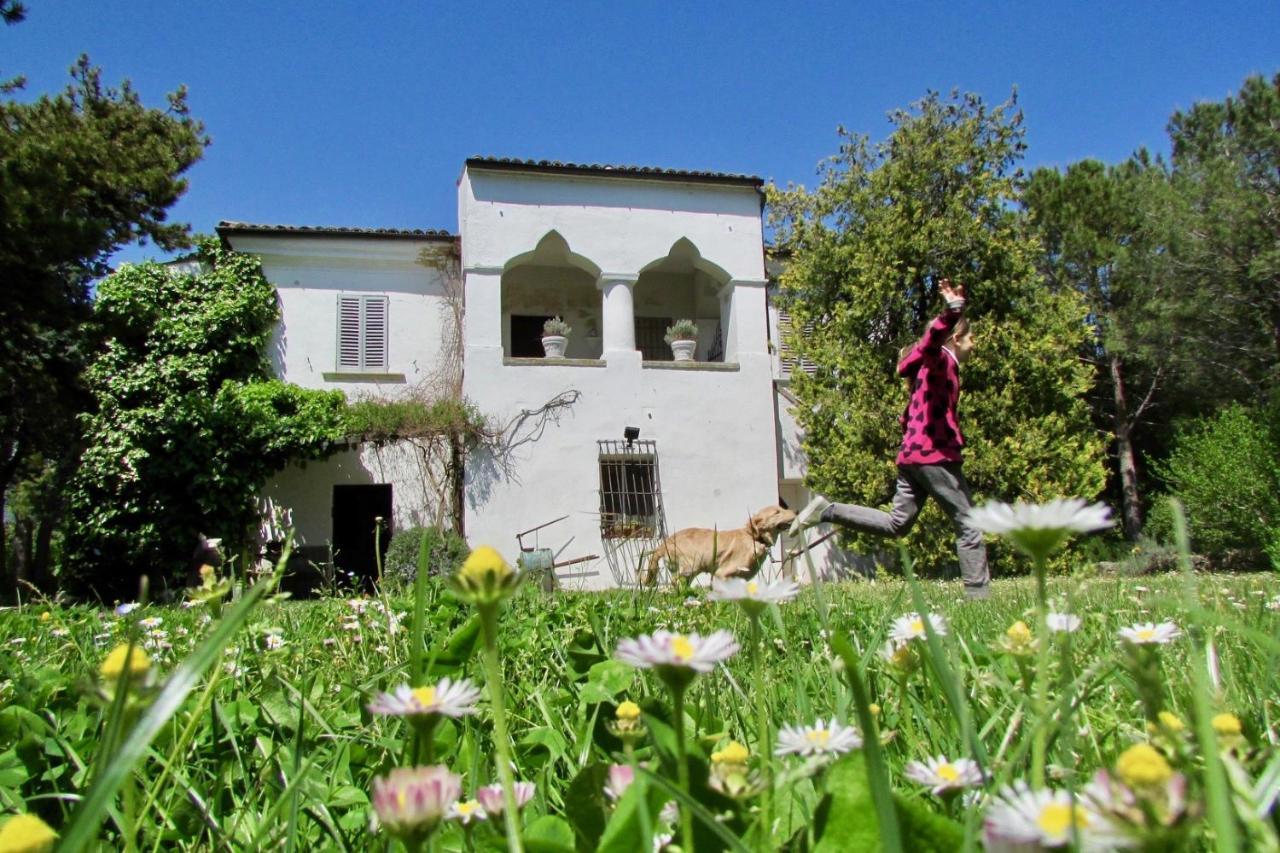 Agriturismo "Borgo Madonna Degli Angeli" - Charming Cottages In The Gardens ! Tocco da Casauria Εξωτερικό φωτογραφία