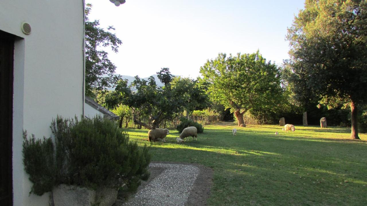 Agriturismo "Borgo Madonna Degli Angeli" - Charming Cottages In The Gardens ! Tocco da Casauria Εξωτερικό φωτογραφία