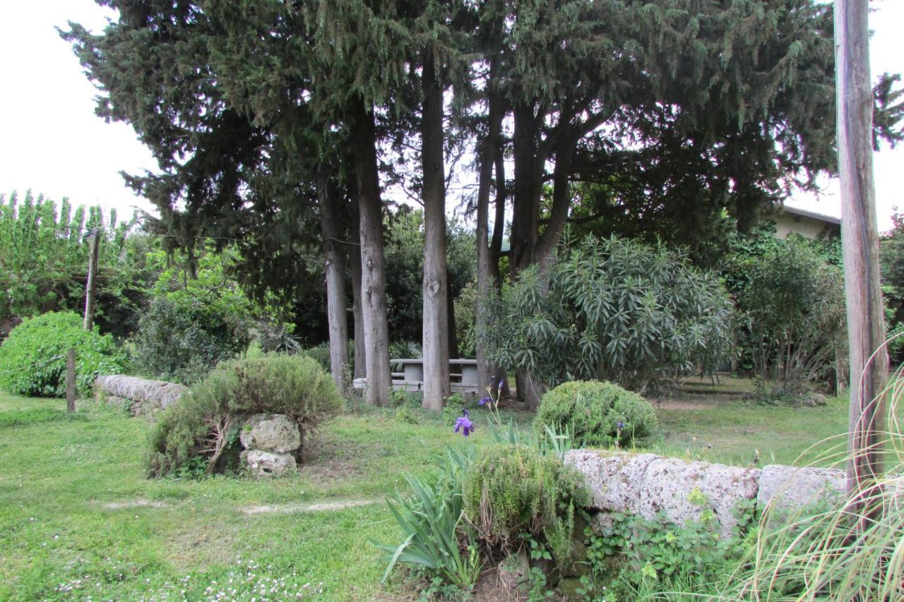 Agriturismo "Borgo Madonna Degli Angeli" - Charming Cottages In The Gardens ! Tocco da Casauria Εξωτερικό φωτογραφία
