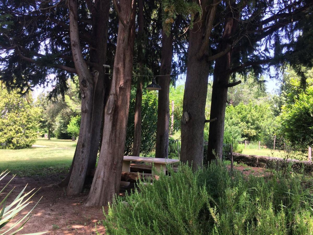 Agriturismo "Borgo Madonna Degli Angeli" - Charming Cottages In The Gardens ! Tocco da Casauria Εξωτερικό φωτογραφία