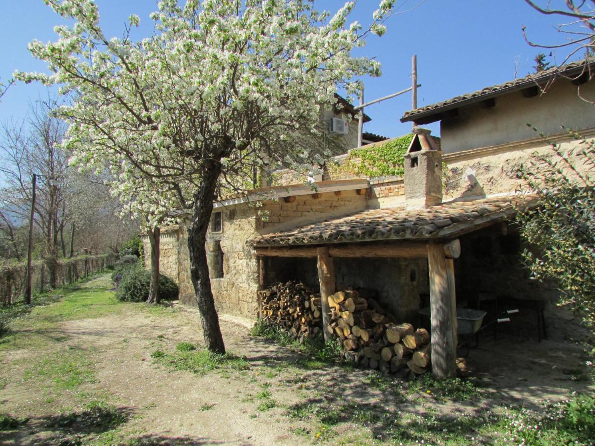 Agriturismo "Borgo Madonna Degli Angeli" - Charming Cottages In The Gardens ! Tocco da Casauria Εξωτερικό φωτογραφία