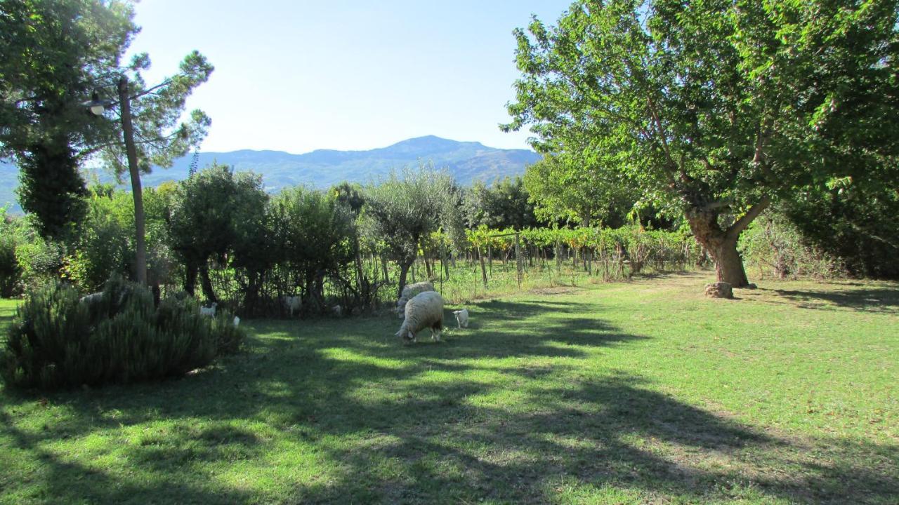 Agriturismo "Borgo Madonna Degli Angeli" - Charming Cottages In The Gardens ! Tocco da Casauria Εξωτερικό φωτογραφία