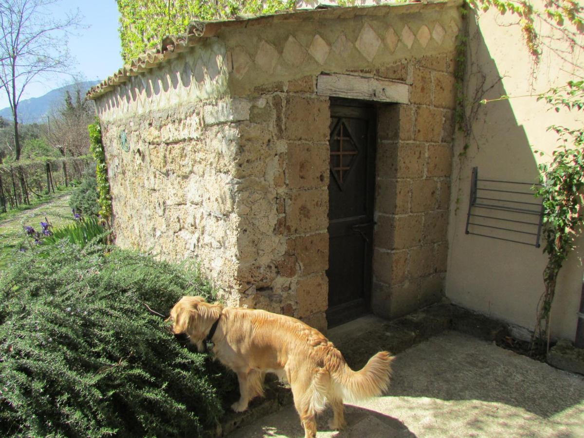 Agriturismo "Borgo Madonna Degli Angeli" - Charming Cottages In The Gardens ! Tocco da Casauria Εξωτερικό φωτογραφία