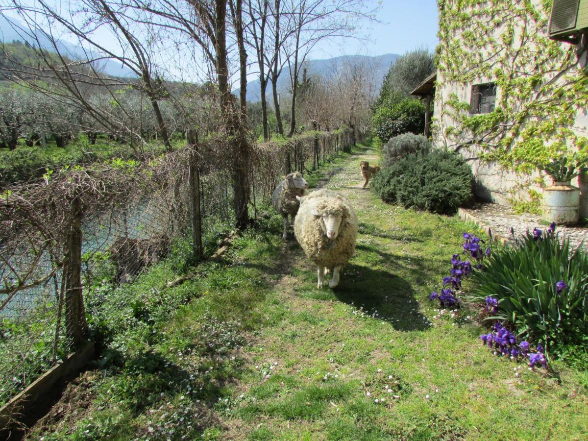 Agriturismo "Borgo Madonna Degli Angeli" - Charming Cottages In The Gardens ! Tocco da Casauria Εξωτερικό φωτογραφία
