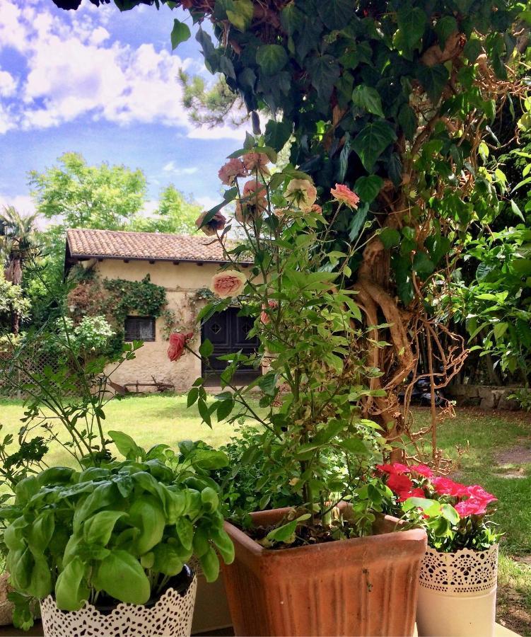 Agriturismo "Borgo Madonna Degli Angeli" - Charming Cottages In The Gardens ! Tocco da Casauria Εξωτερικό φωτογραφία