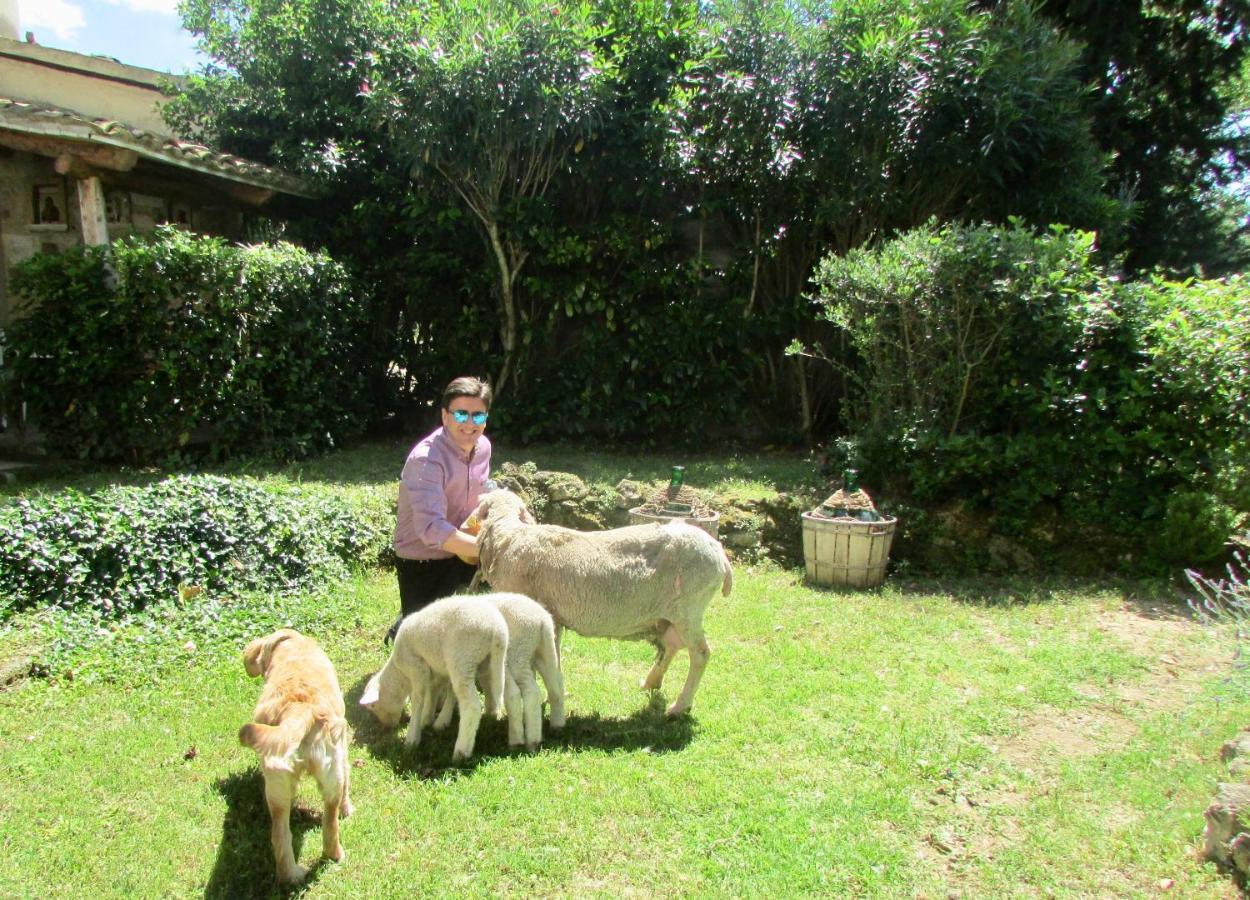 Agriturismo "Borgo Madonna Degli Angeli" - Charming Cottages In The Gardens ! Tocco da Casauria Εξωτερικό φωτογραφία