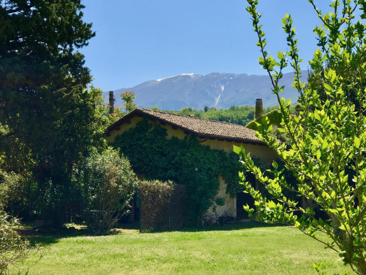 Agriturismo "Borgo Madonna Degli Angeli" - Charming Cottages In The Gardens ! Tocco da Casauria Εξωτερικό φωτογραφία