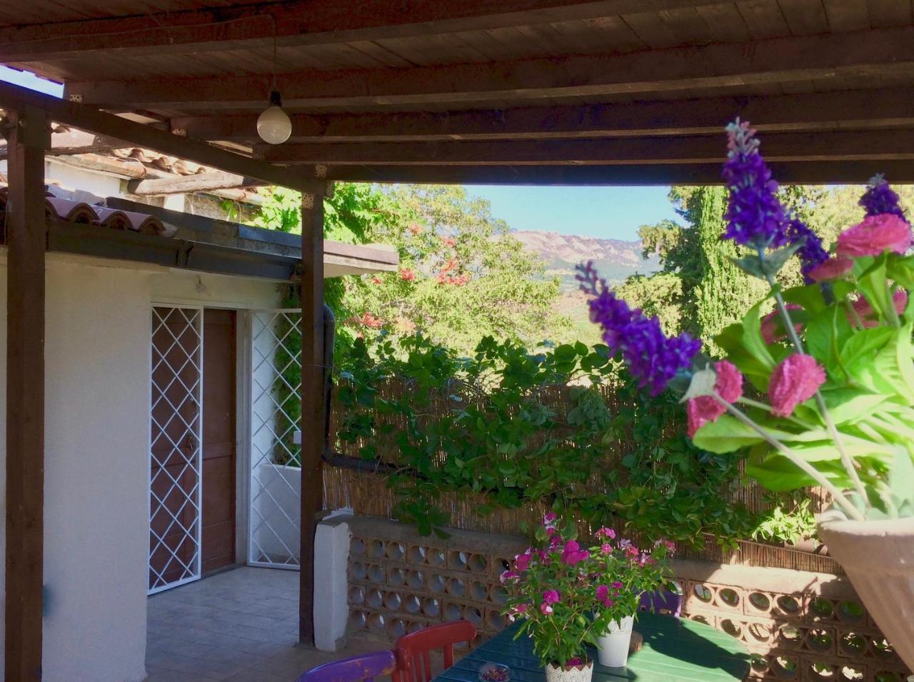 Agriturismo "Borgo Madonna Degli Angeli" - Charming Cottages In The Gardens ! Tocco da Casauria Εξωτερικό φωτογραφία